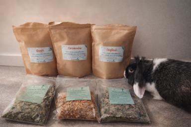 Feuille de mûrier : date courte – Image 2