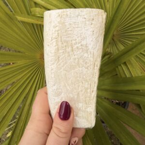 Noyau de corne de Buffle