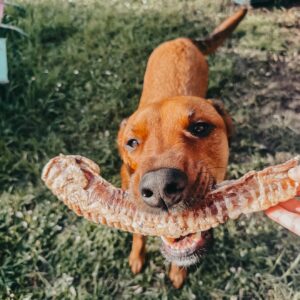 Image à la une de la catégorie