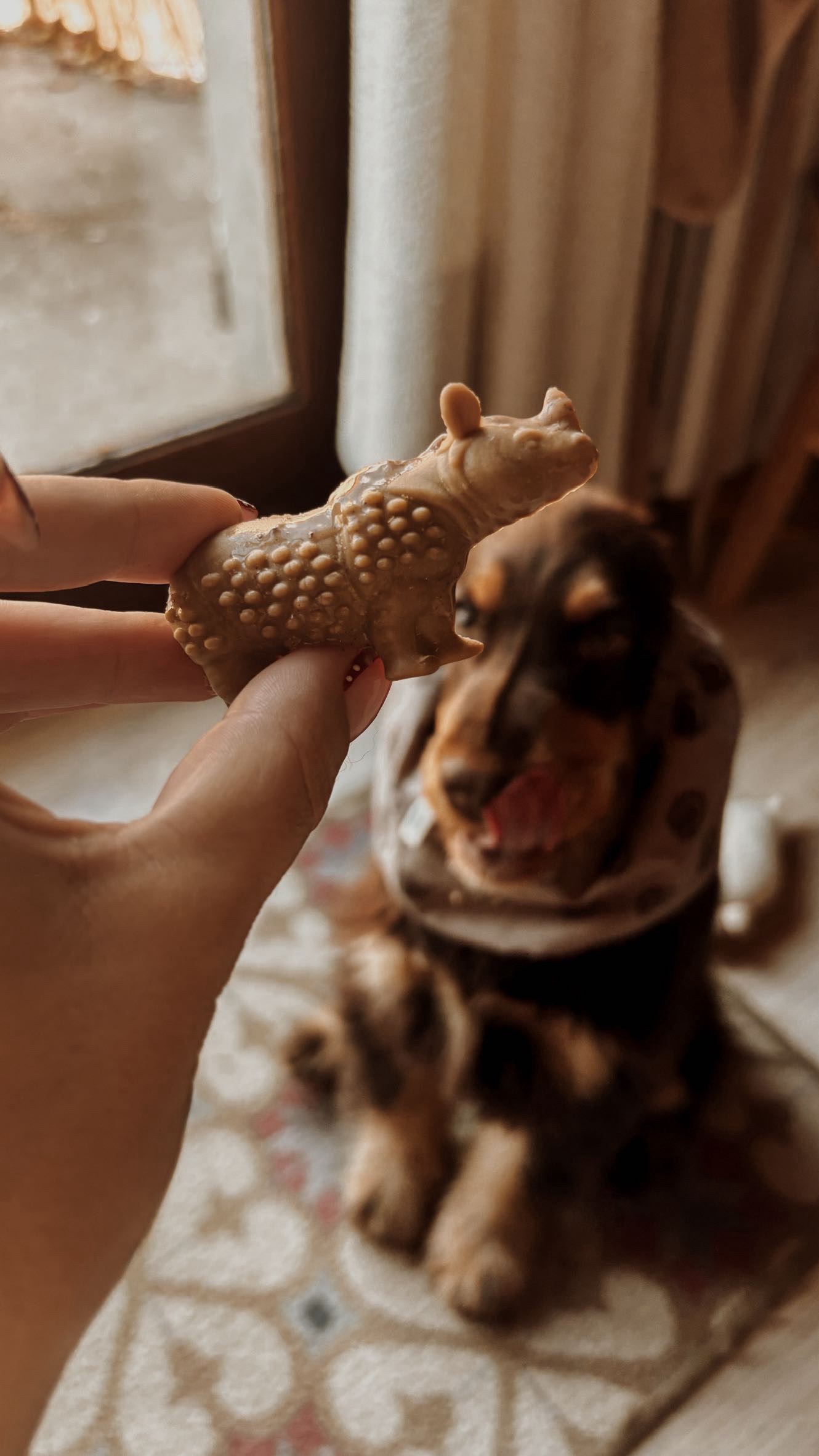 Animaux à mâcher – Image 3