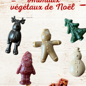 Maxi animaux végétaux  de noël