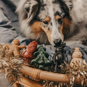 Maxi animaux végétaux  de noël