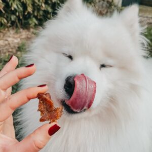 Nuggets de Poulet 100g
