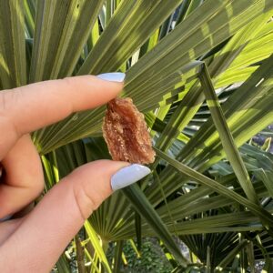 Nuggets de Poulet 100g