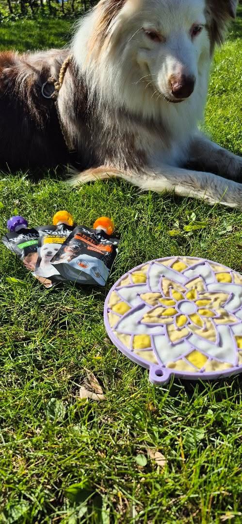 Tapis à lécher Lotus avec ventouses – Image 2