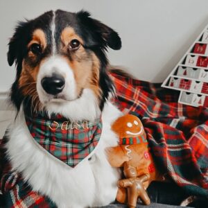 Peluche Bonhomme Pain d’épice