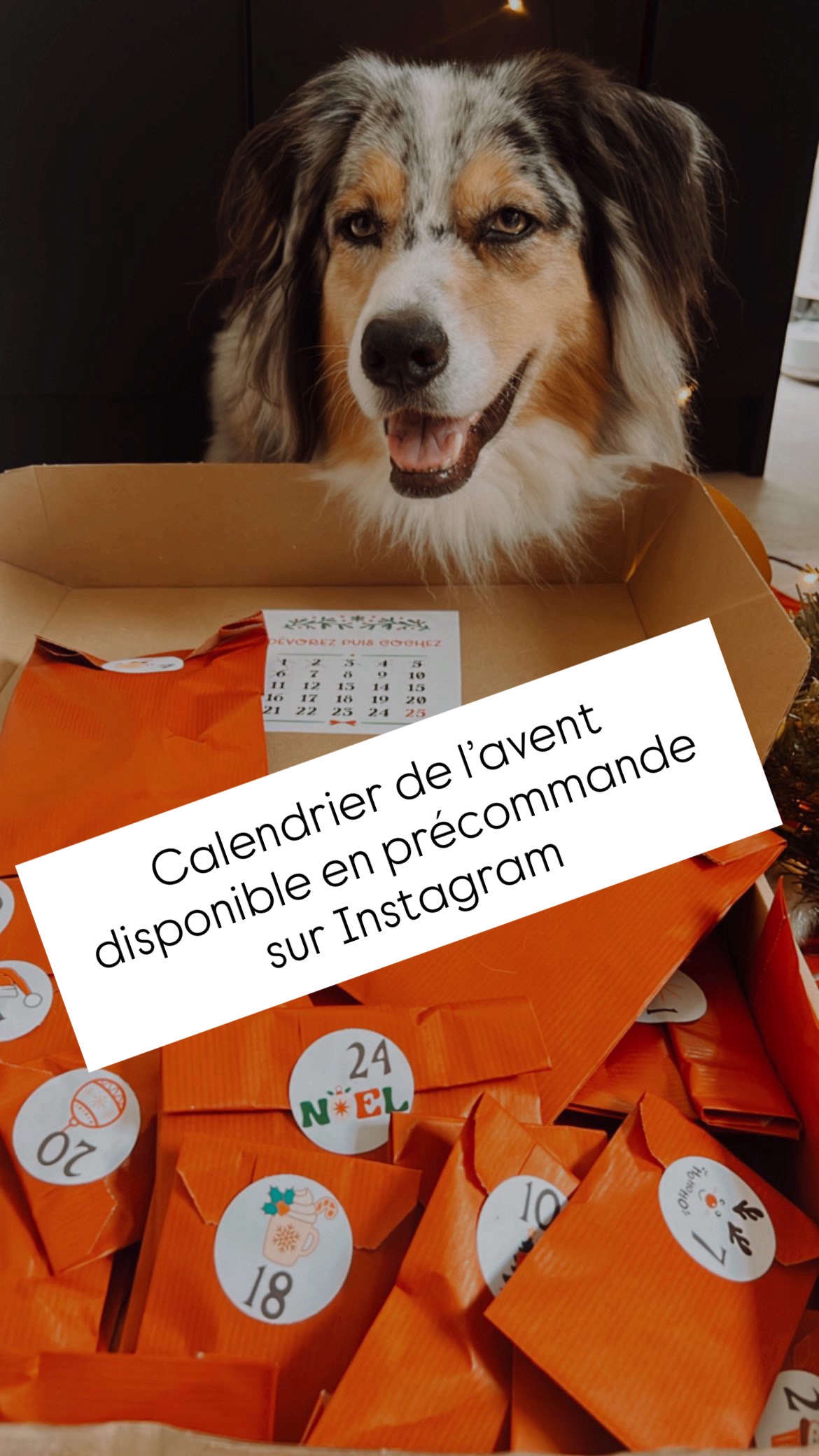 Calendrier de l’avent (le dernier en stock)
