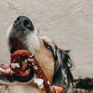 Sucre d’orge (peau de bœuf)