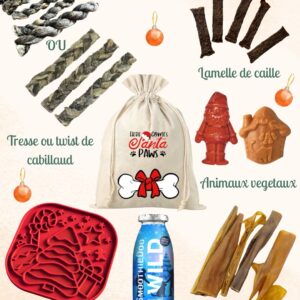 La hotte de Noël