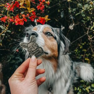 Image à la une de la catégorie