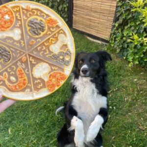 Tapis de léchage pizza