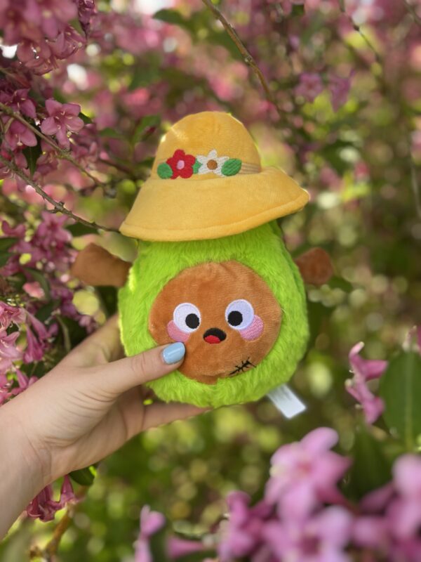 Peluche avocat