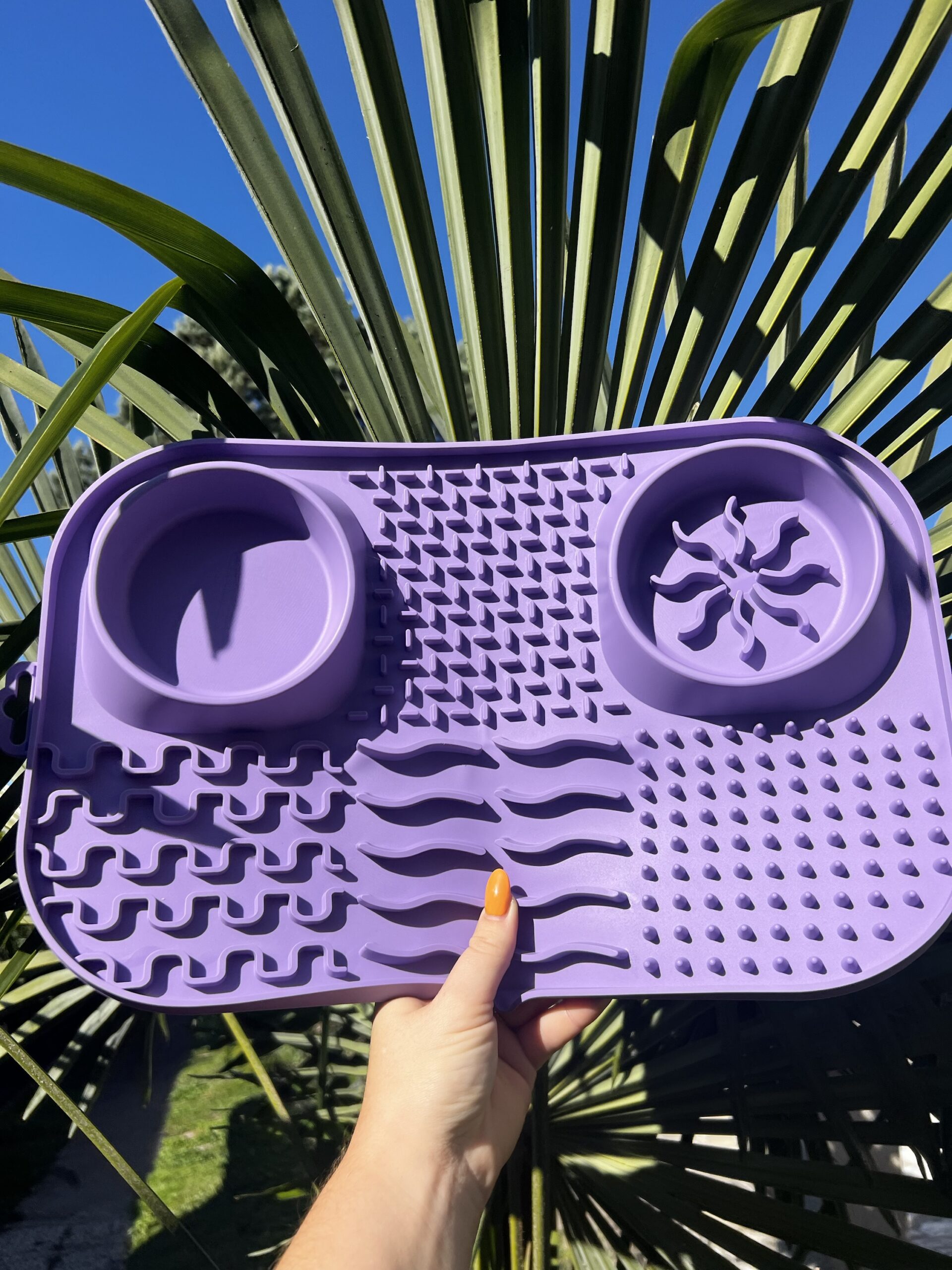 Plateau d’enrichissement – Image 3