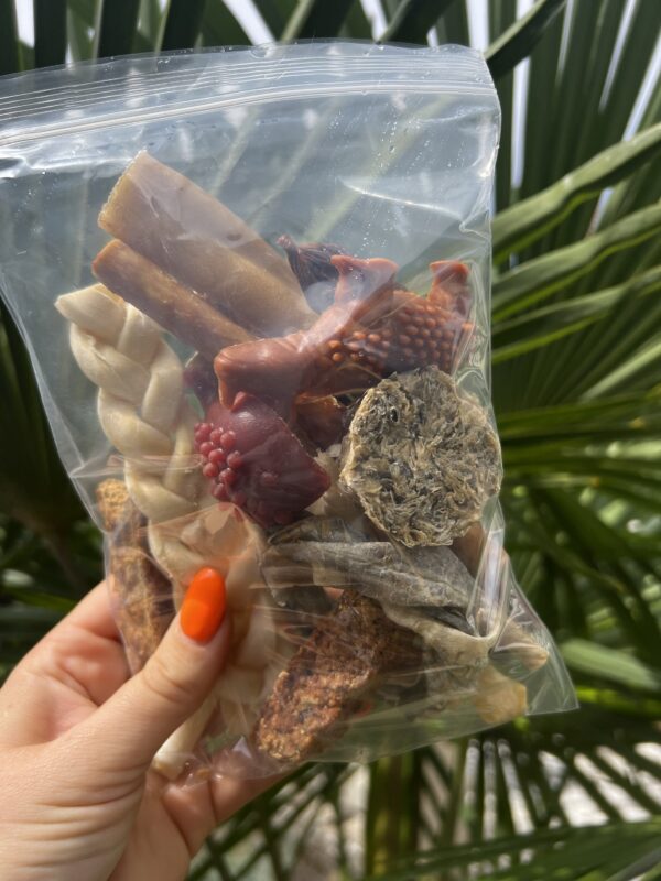 Kit Découverte de Mastication – Image 2