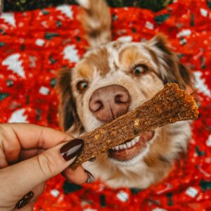 Lamelle de caille : édition limitée