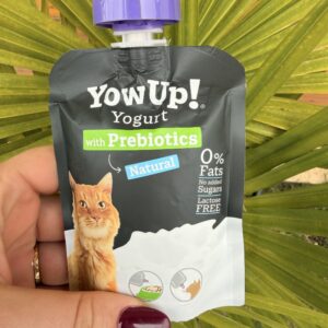 Yaourt à boire pour chat