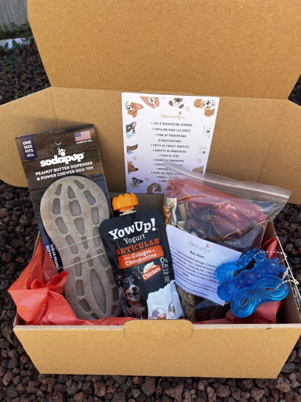 Box chiot – Image 3