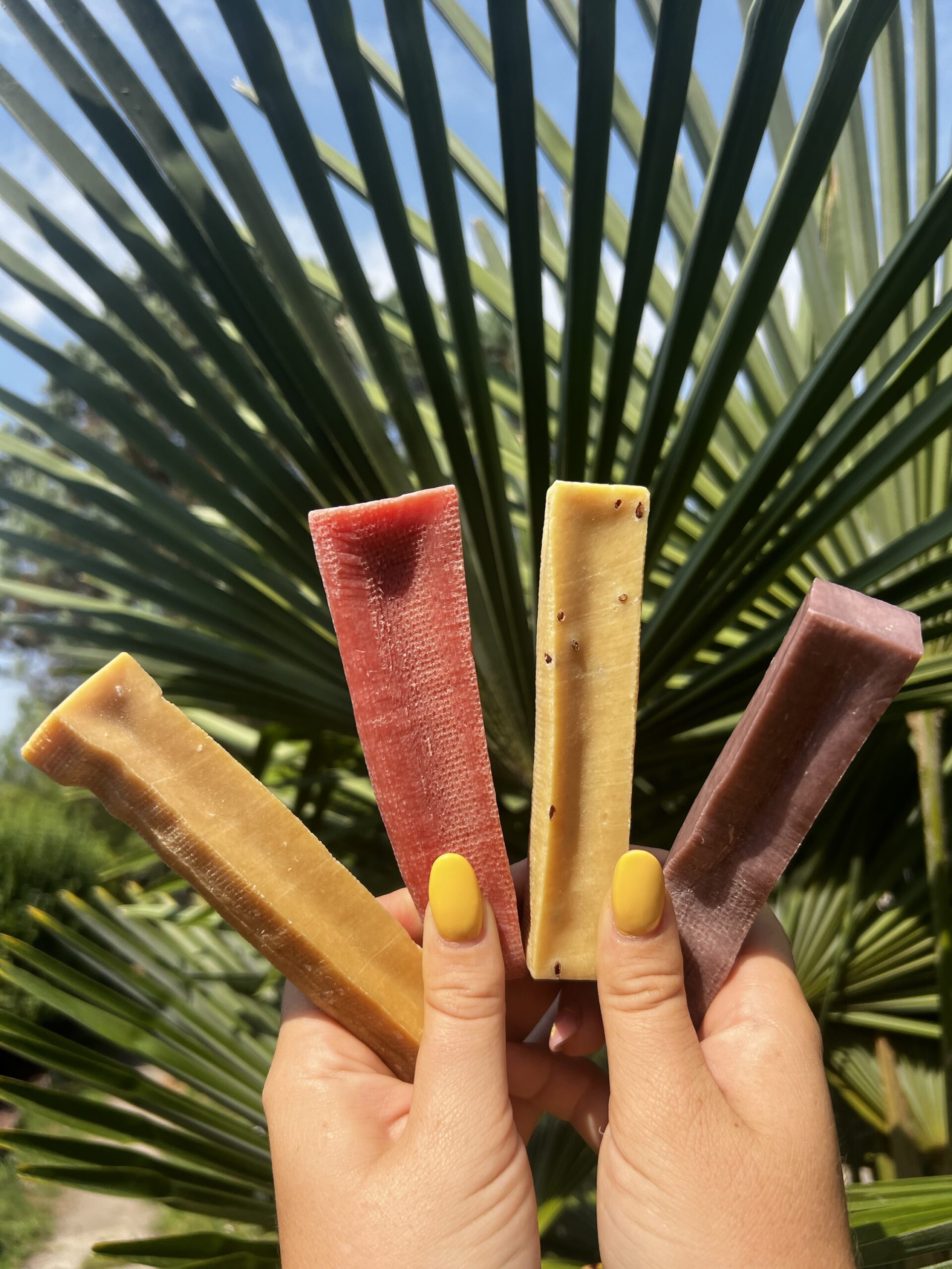 Barre de fromage avec saveur : exclusivité de septembre