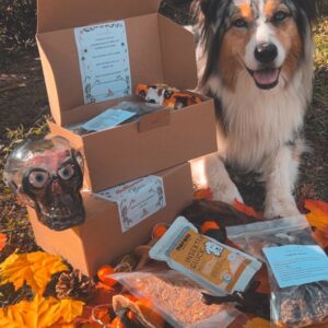 Box d’Halloween