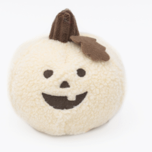Citrouille polaire 🎃