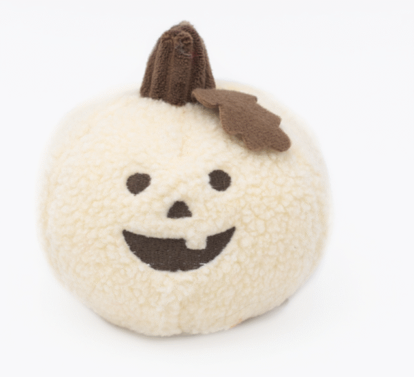 Citrouille polaire 🎃 – Image 2