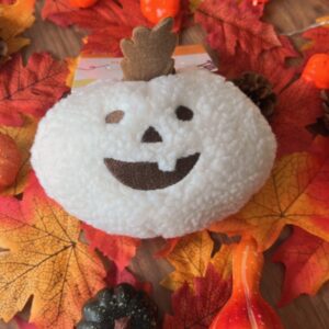 Citrouille polaire 🎃