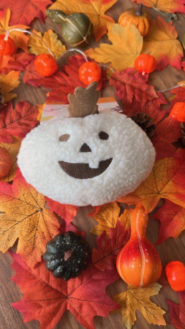 Citrouille polaire 🎃