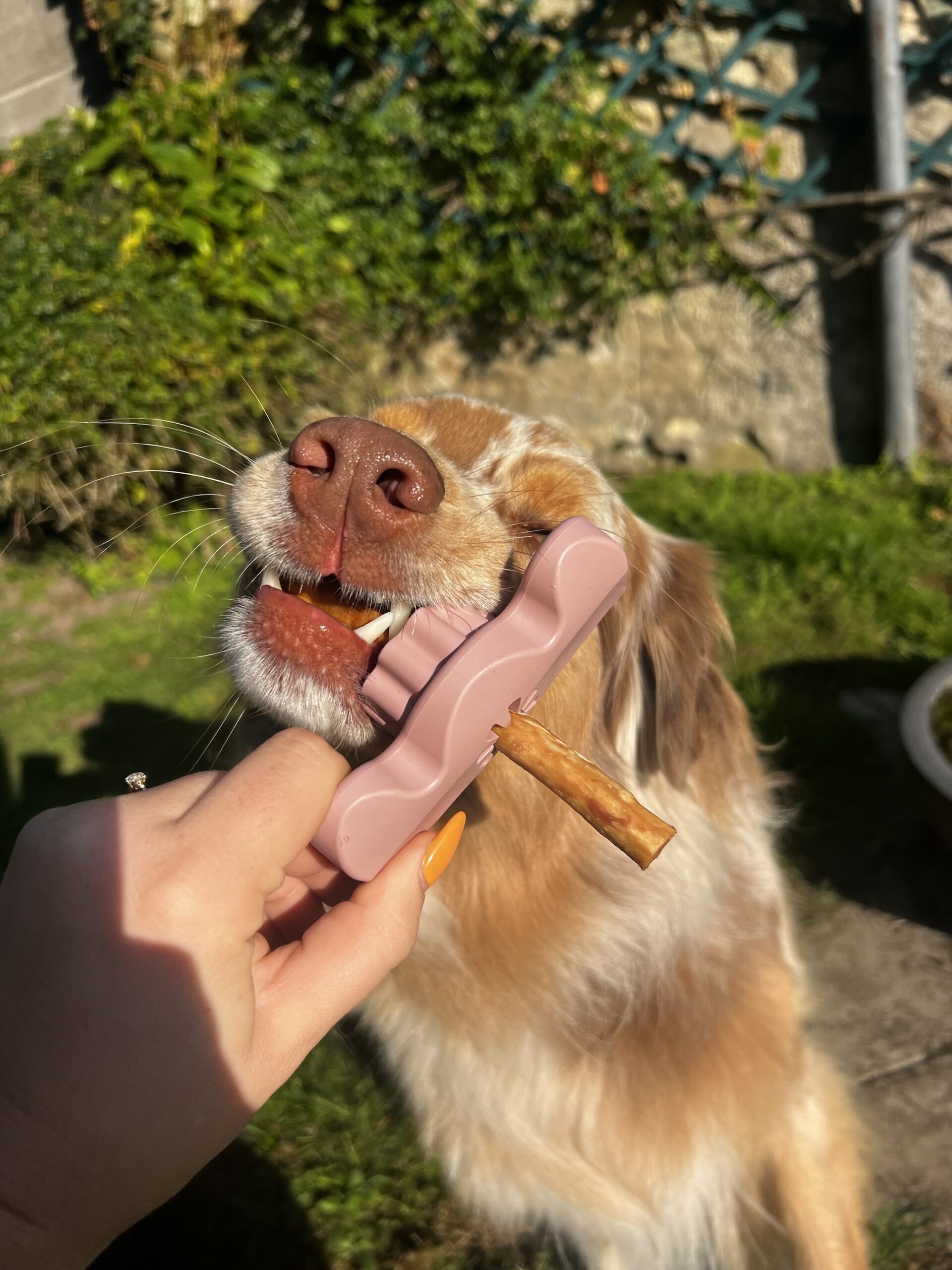 Bloque mâchouille – Image 3