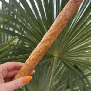 Stick de collagène XXL