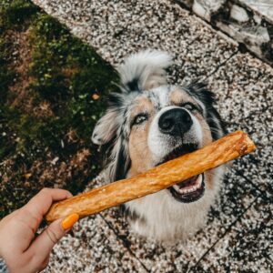 Stick de collagène XXL