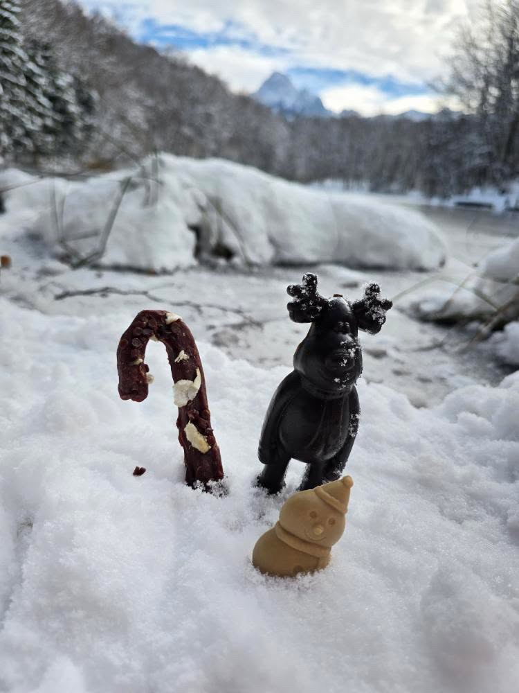 Sucre d’orge (peau de bœuf) – Image 3