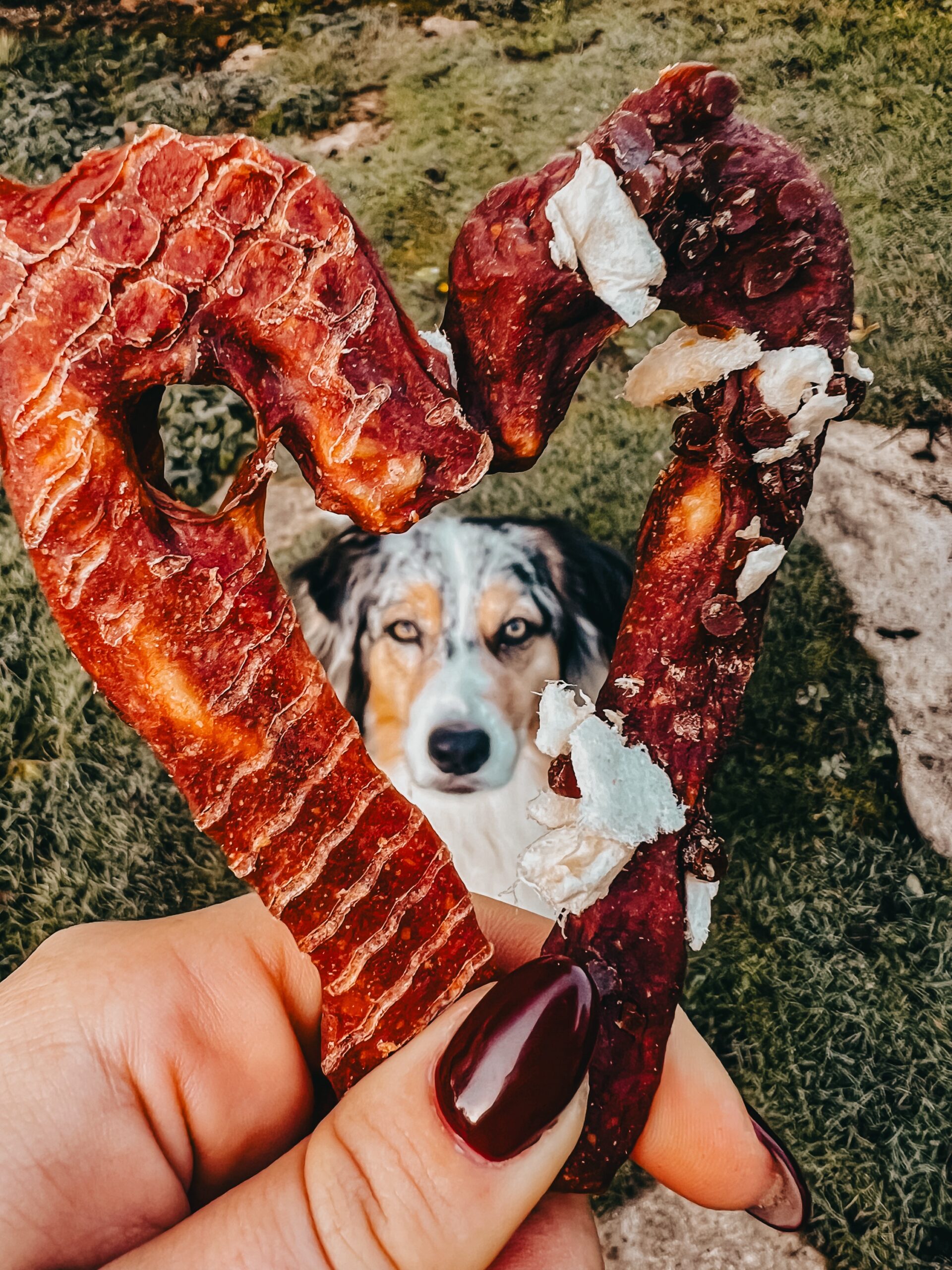 Sucre d’orge (peau de bœuf) – Image 2