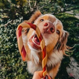 Sucre d’orges pour chien