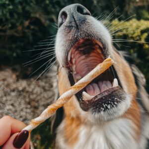 Stick roulé de buffle