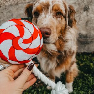 Peluche Lolly pop de Noël