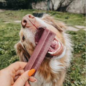 Barre de fromage : exclusivité saint Valentin