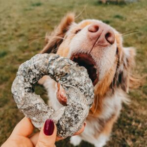 Donuts de poisson : Produit du mois de mars