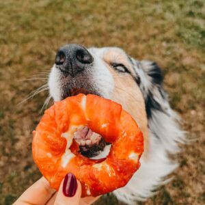 Donuts Canard/Boeuf : produit du mois de mars