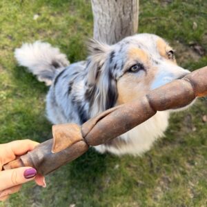 Rouleau de chameau 30cm