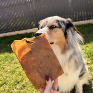 Plaque de buffle (unité)