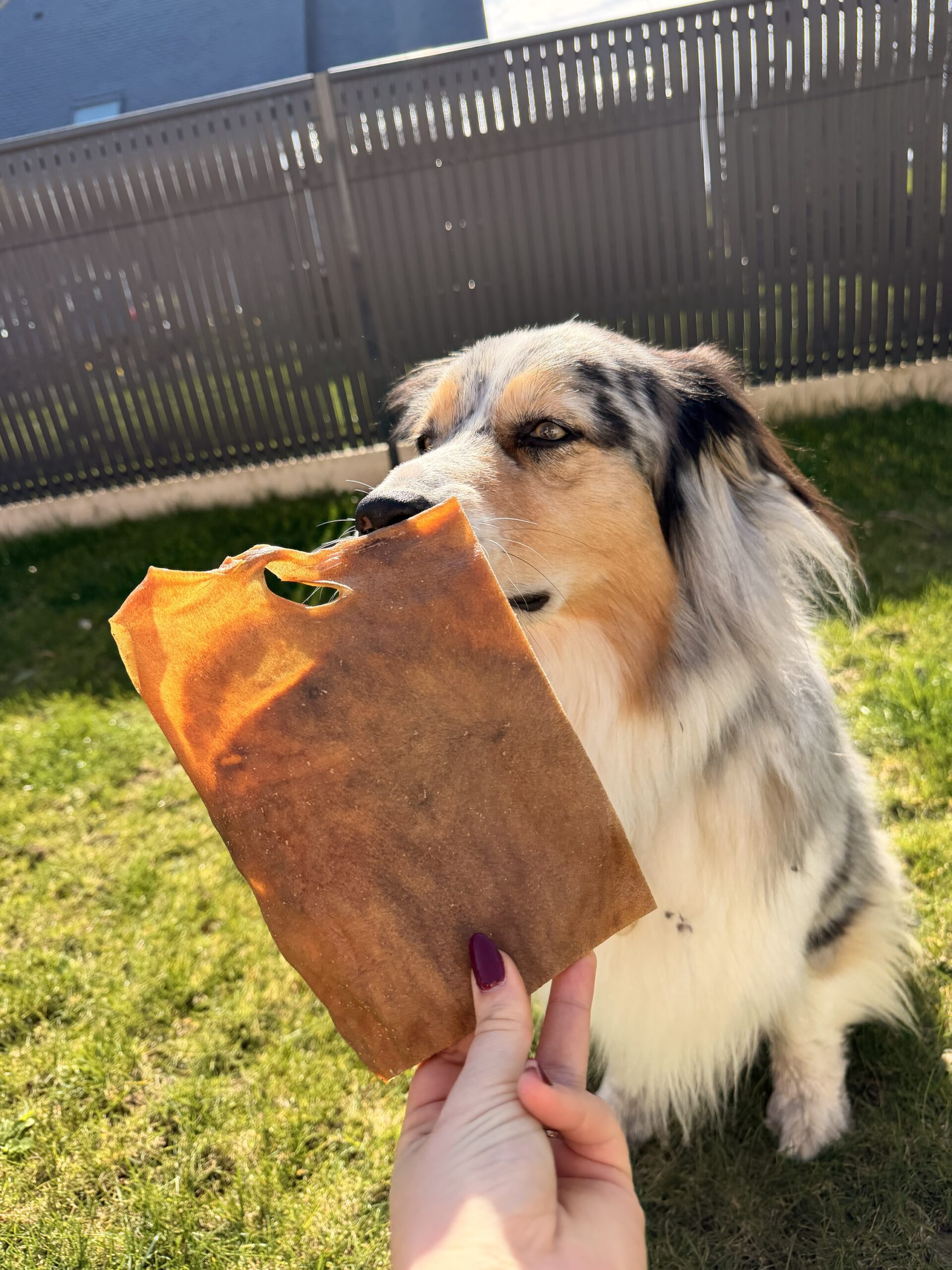 Plaque de buffle (unité) – Image 2