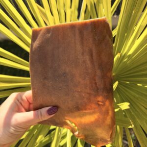 Plaque de buffle (unité)