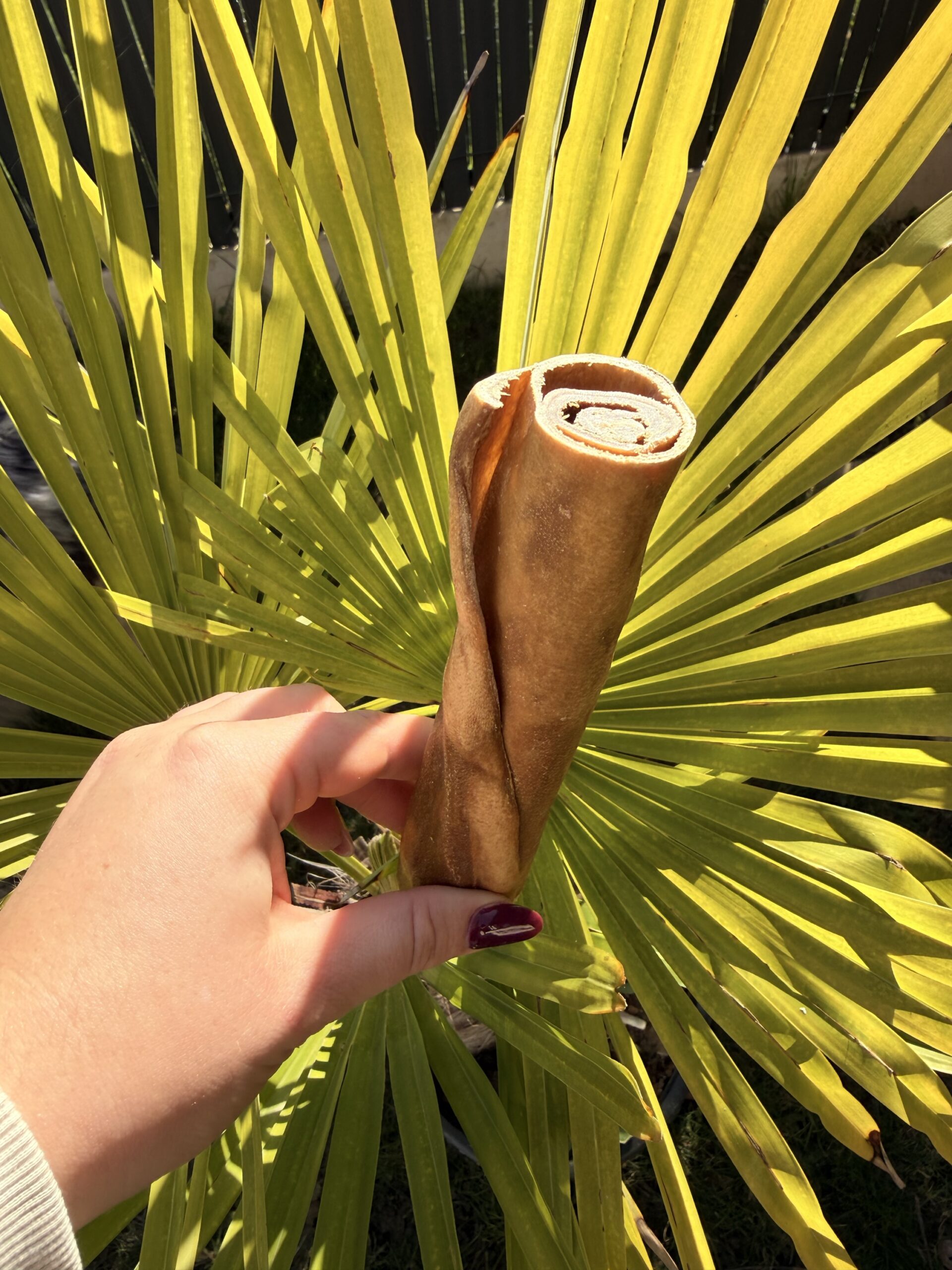 Rouleau de chèvre 15 cm