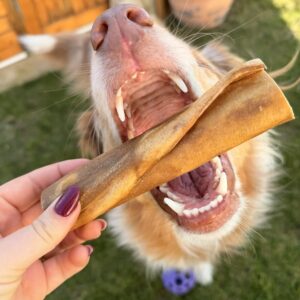 Rouleau de chèvre 15 cm