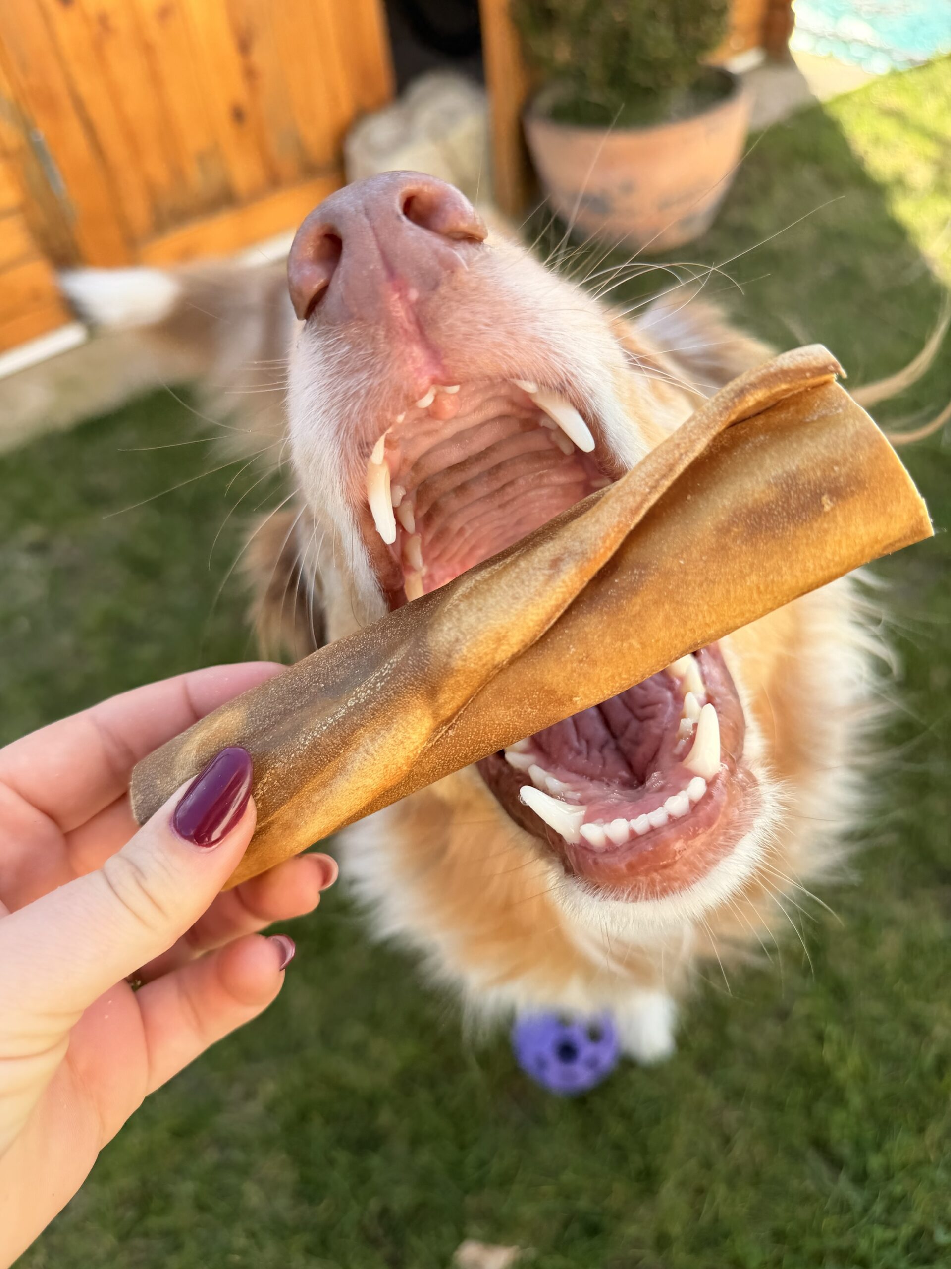 Rouleau de chèvre 15 cm – Image 2