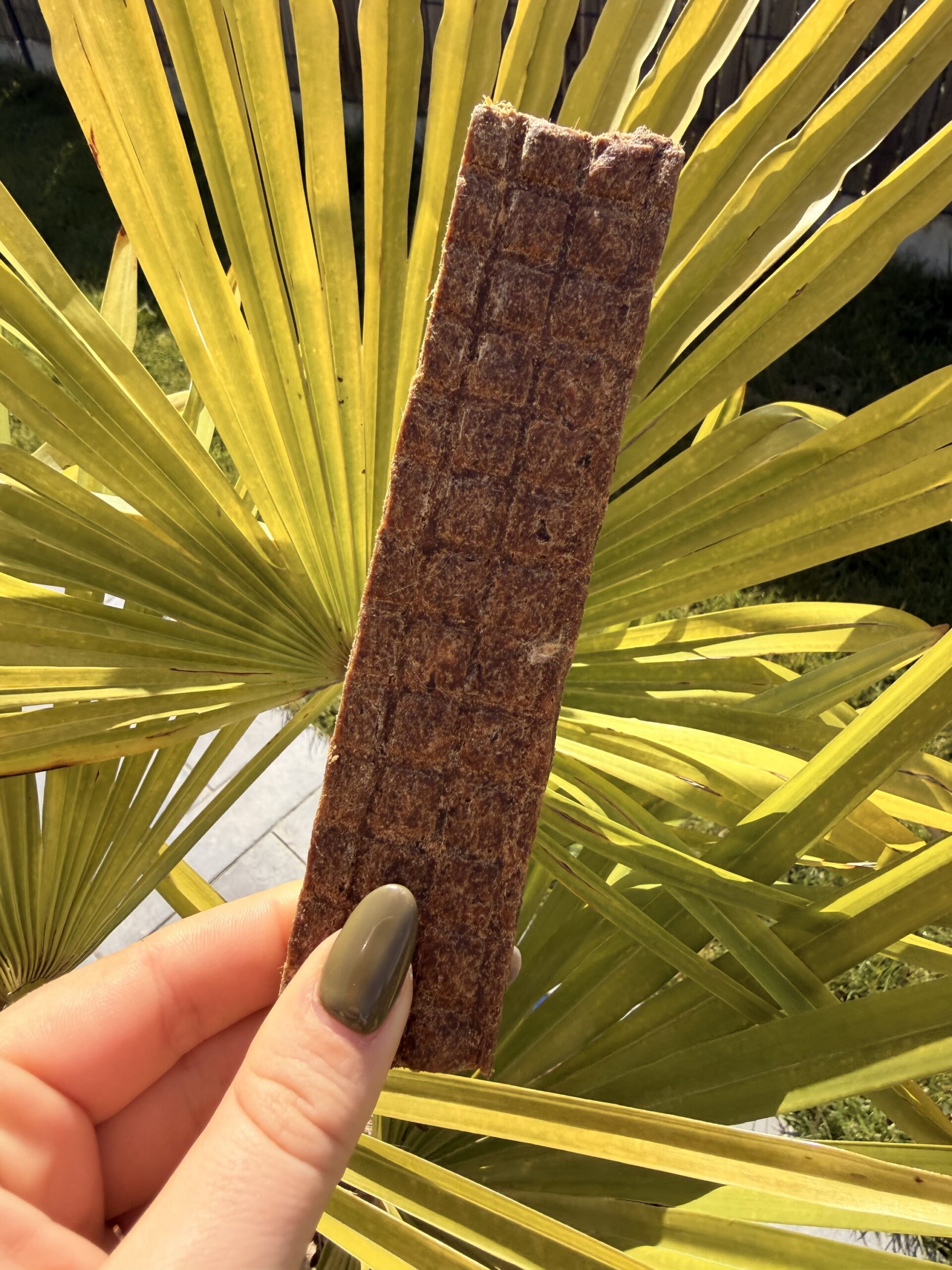 LAMELLE DE CERF XL – Image 2