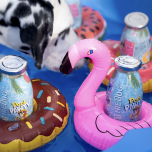 Smoothie Pool pawty summer édition