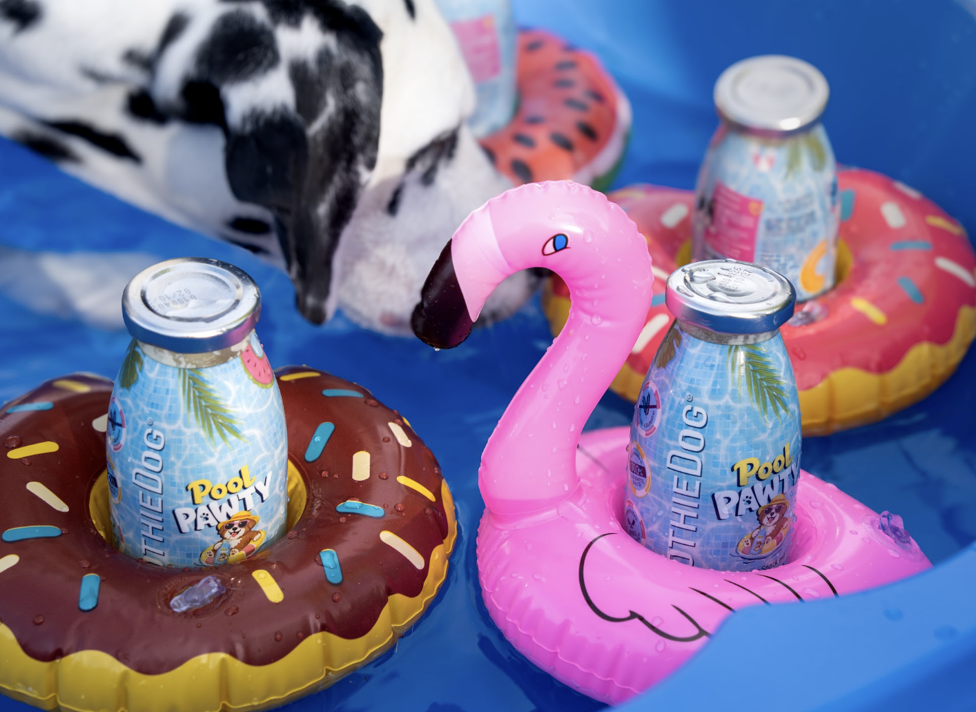 Smoothie Pool pawty summer édition – Image 2