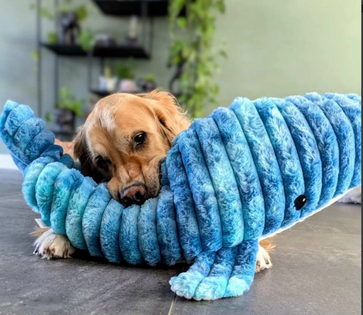 Peluche baleine XXL 91 cm