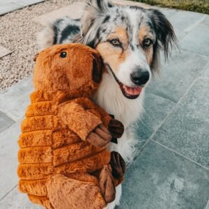Peluche capibara xxl 41 cm